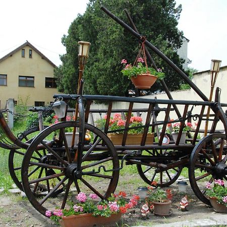 Pensiunea Daniel Sibiu Buitenkant foto